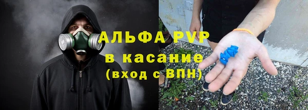 гидра Богданович