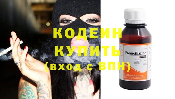 гидра Богданович