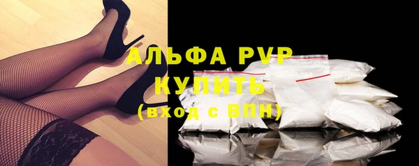 гидра Богданович