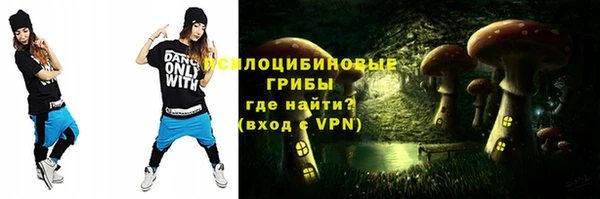 гидра Богданович