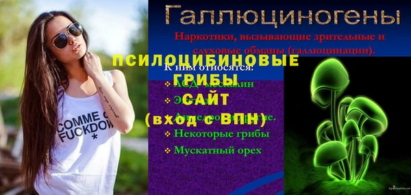 мдпв Бронницы