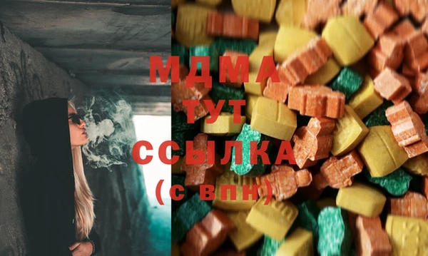гидра Богданович