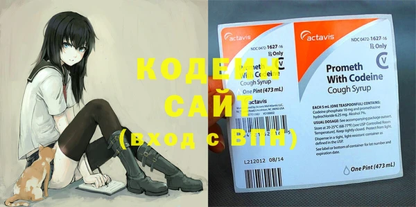 гидра Богданович