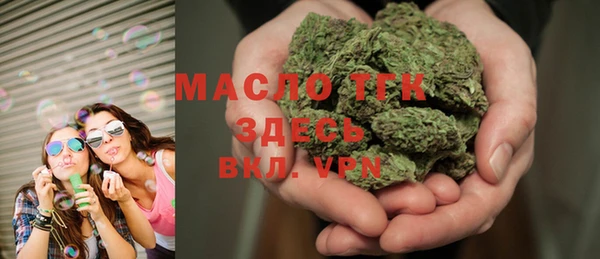 гидра Богданович