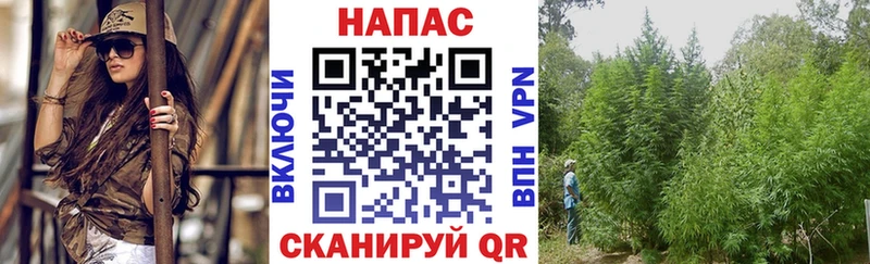 МАРИХУАНА план  что такое наркотик  Волжский 